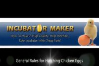 نکات مهم در آموزش جوجه کشی