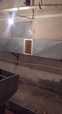 قیمت فروش جوجه یکروزه تجارتی