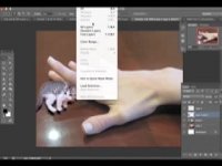 SMALLEST CAT IN THE WORLD! NANO KITTIES - SO CUTE!