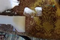 نحوه شست و شوی مبل راحتی و مبل کلاسیک