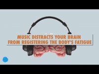 موسیقی چه نقشی در زندگی آدم ها دارد ؟