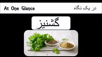 خواص و فواید گشنیز  در 30 ثانیه || بخش دوم