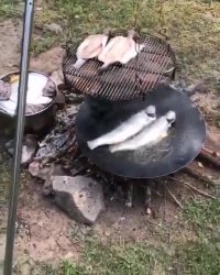 روز تعطیل رو باید اینجوری گذروند