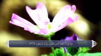 داستان اصحاب قریه در سوره یس