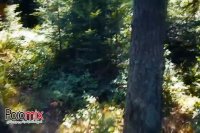 هارد اکسترنال ای دیتا HD710m