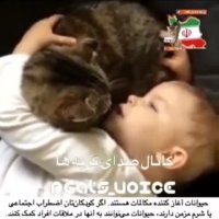 حیوانات آغاز کننده مکالمات هستند.