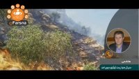 آتش‌سوزی گسترده در جنگل‌ های خاییز کهگیلویه