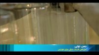 لوازم بهداشتی وارداتی آماده ترخیص از بندر شهید رجایی