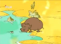 انیمیشن کمدی ایرانی حیات وحش - کروکدیل