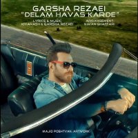 آهنگ گرشا رضایی دلم هوس کرده