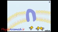 اصول اثرگذاری امواج رادیویی فیزیوتراپی