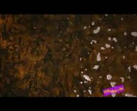 فوت کوزه گری 9 - بسیج سازندگی - پرورش ماهی گرم آبی