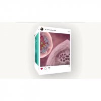 صفحه اینستاگرام دکتر امیر سلیمانی (متخصص پوست و مو)