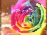 آدرس تلگرام