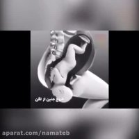 زایمان طبیعی در 25ثانیه!