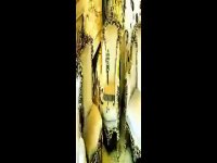 سرویس چوب و مبلمان روسی و رایش