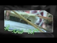 نماهنگ تولد امام رضا(ع)
