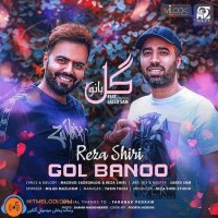 دانلود آهنگ رضا شیری گل بانو