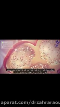 ویروس کرونا چیست?