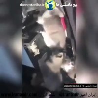 در هوای سرد قبل از استارت خودرو حتما اینکار را انجام دهید