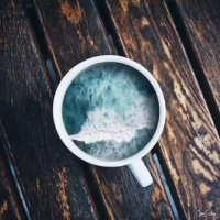 فروشنده قطعات یدکی خودروهای ژاپنی کره ای چینی و اروپایی