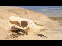 New Mexico Timelapse