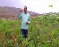 مستند همسفر، مجموعهء آلوارس مهرگان