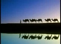 نوای کاروان / نادر گلچین