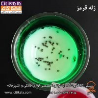 ژله هندوانه ای- سیتی کالا