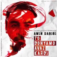 موزیک جدید امین حبیبی تو دنیامو عوض کردی