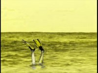 موزیک Birds از آپارات - آلبوم Walls