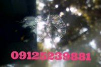 ترمیم شیشه اتومبیل  ماهرویان 09125239881_02144145701