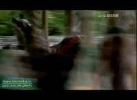 مستند ترقی پول قسمت سوم