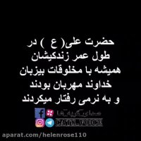 حضرت على همیشه با مخلوقات بیزبان خداوند مهربان بودند.