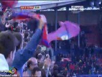 گل زیبای شجاعی