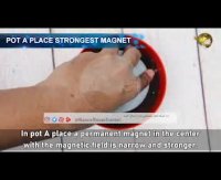 مغناطیس و رشد گیاه