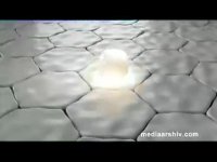 معرفی محصولات بهداشتی اکتیو در فروشگاه اینترنتی آلیار