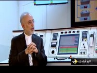 صالحی: در صورت لغو برجام اجرای پروتکل الحاقی را متوقف می‌کنیم