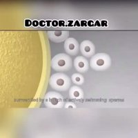 ویدیو مراحل انجام IVF برای درمان نازایی