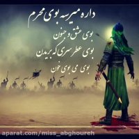 کلیپ محرم | داره میرسه بوی محرم