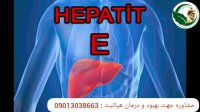 انواع هپاتیت علائم و روش درمان آن   تیم تحقیقاتی فردوسی