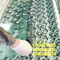 حوضچه هیدروگرافیک گالوانیزه 09384086735 ایلیاکالر