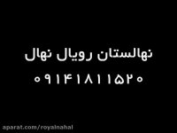 نهال کمیاب 09141811520