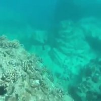 اسلحه کف رودخانه