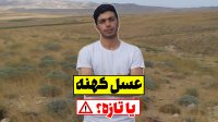 عسل کهنه یا تازه!