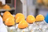 سفارش آنلاین آبمیوه