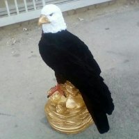 فروش دستگاه های :آبکاری / مخمل پاش / هیدروگرافیک/ شب نما فانتاکروم 09362022208