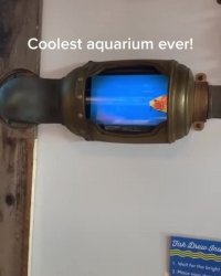 آکواریومی که ماهی نقاشی بچه‌ها در آن شنا می‌کنند