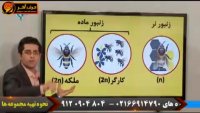 تدریس ژنتیک زیست شناسی کنکور - حرف آخر