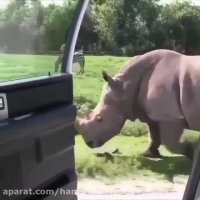 جذابیت های تور افریقای جنوبی